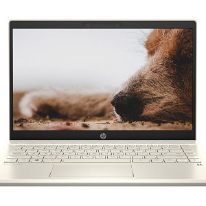 Laptop HP Pavilion 14-DV0534TU i7-1165G7/ 8GB/ 512GB SSD/ 14