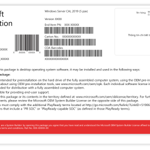 Microsoft Windows Server CAL 2019 English R18-05867